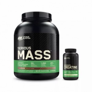 Optimum Nutrition Mass Stack | 67842YUKF