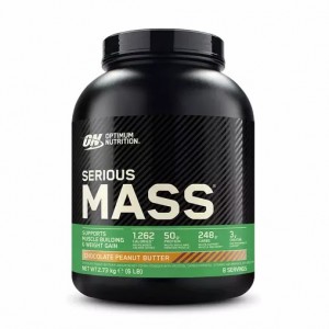 Optimum Nutrition Serious Mass Gainer Chocolate Peanut Butter 2.73 kg (8 Servings) | 82301BZYQ