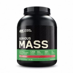 Optimum Nutrition Serious Mass Gainer Strawberry 2.73 kg (8 Servings) | 95481EGUH